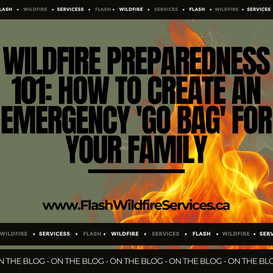 Wildfire Preparedness 101: How to Create an Emergency 'Go Bag' for Your Family