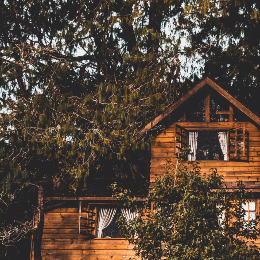 Cabin in Wildfire Prone area.