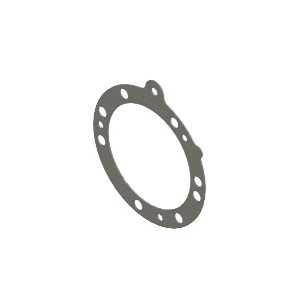 R-1008 DIAPHRAGM GASKET