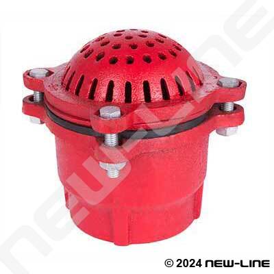 3" RED CAST IRON FOOT VALVE